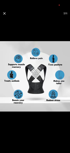 SpineAlign Pro