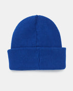 Alden Beanie