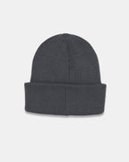 Alden Beanie