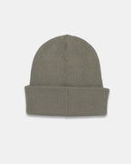 Alden Beanie