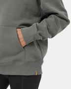 Scenic Arch Hoodie