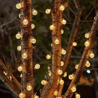 Crystal Globe Solar String Lights