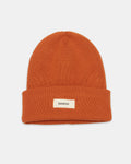 Alden Beanie