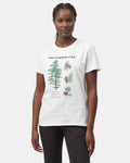 Common Pine T-Shirt